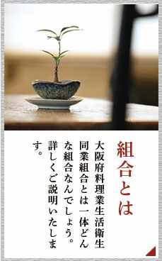 大阪府料理業生活衛生同業組合とは一体どんな団体なのでしょう。詳しくご説明いたします。